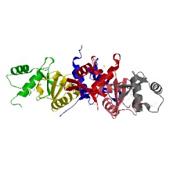 Image of CATH 5cd7