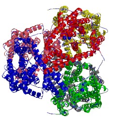 Image of CATH 5cfy
