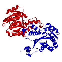 Image of CATH 5cg1