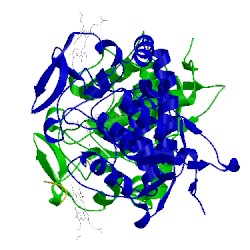 Image of CATH 5cib