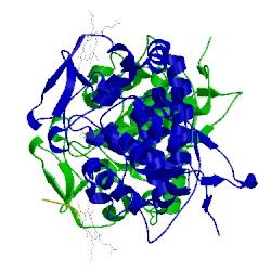 Image of CATH 5cid