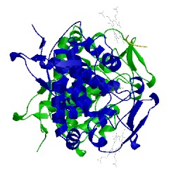 Image of CATH 5cig