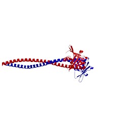 Image of CATH 5cj0