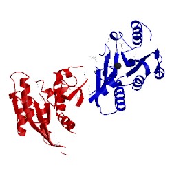 Image of CATH 5cjj