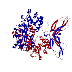 Image of CATH 5cl1