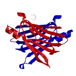 Image of CATH 5clx