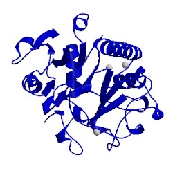 Image of CATH 5cmh