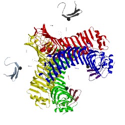 Image of CATH 5cmn