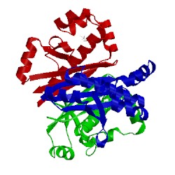 Image of CATH 5cmo