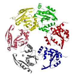 Image of CATH 5cnp