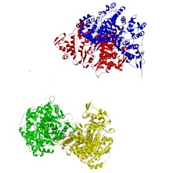 Image of CATH 5cnv