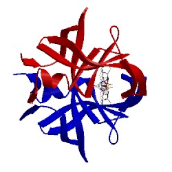 Image of CATH 5cok