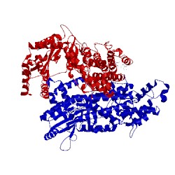 Image of CATH 5cqg