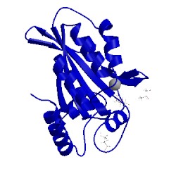 Image of CATH 5cqi