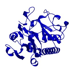 Image of CATH 5cqn