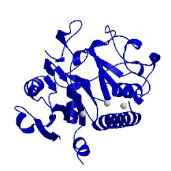 Image of CATH 5cqo