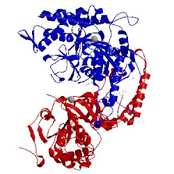 Image of CATH 5cqz