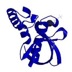 Image of CATH 5cr3