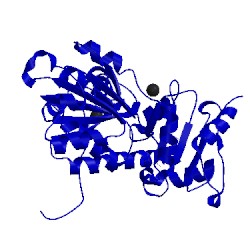 Image of CATH 5cre