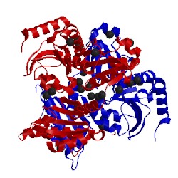 Image of CATH 5crh