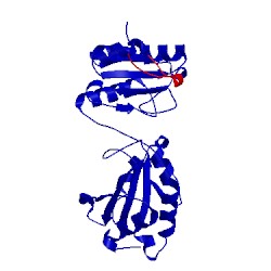 Image of CATH 5crw