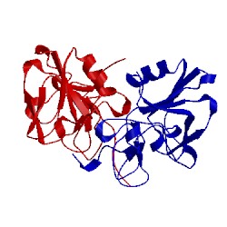 Image of CATH 5cs1