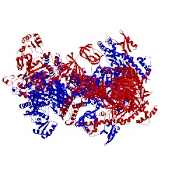 Image of CATH 5csl