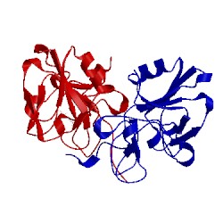 Image of CATH 5ct3