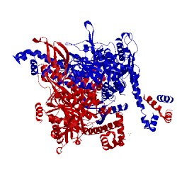 Image of CATH 5cte