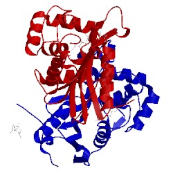 Image of CATH 5ctm