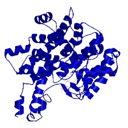 Image of CATH 5cts
