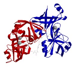 Image of CATH 5cuo