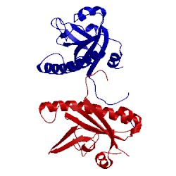 Image of CATH 5cv0