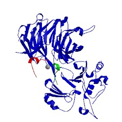 Image of CATH 5cvn