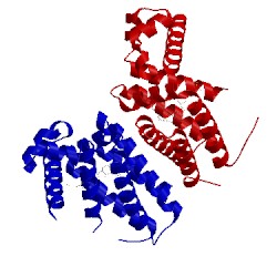 Image of CATH 5cw8