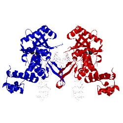 Image of CATH 5cwr
