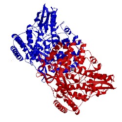 Image of CATH 5cx6