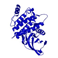 Image of CATH 5cxh