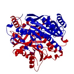 Image of CATH 5cyg