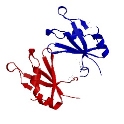 Image of CATH 5cyj