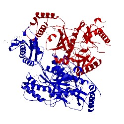 Image of CATH 5cyq
