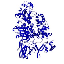 Image of CATH 5czz