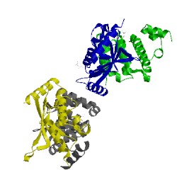 Image of CATH 5d2m