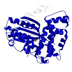 Image of CATH 5d46