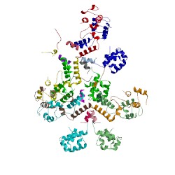 Image of CATH 5d50