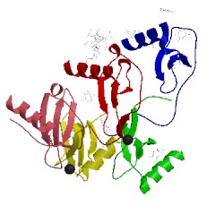 Image of CATH 5d65