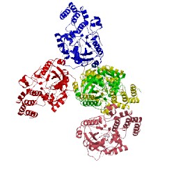 Image of CATH 5d6s