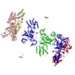 Image of CATH 5d80