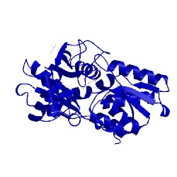 Image of CATH 5d85