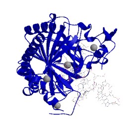 Image of CATH 5d9y